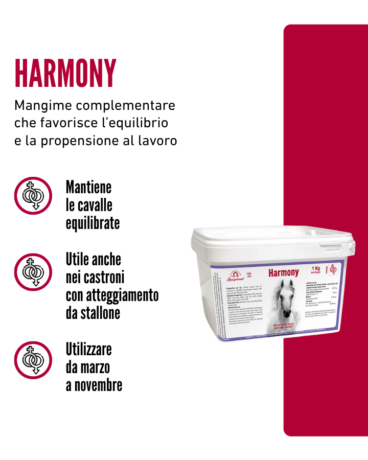 Harmony